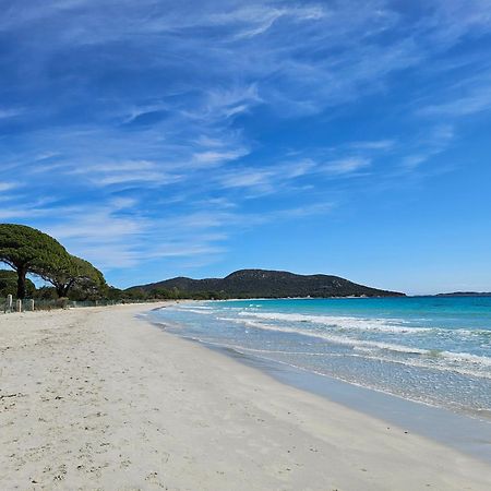 Residence Les Hameaux De Bocca Del Oro Porto-Vecchio  Eksteriør bilde